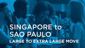 Singapore to Sao Paulo - LARGE TO EXTRA LARGE MOVE