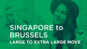 Singapore to Brussels - LARGE TO EXTRA LARGE MOVE